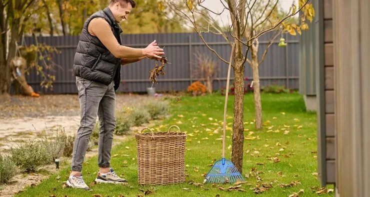 Man raking leaves in the garden of a house, on the lawn by the fence
